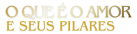 logo-rodape